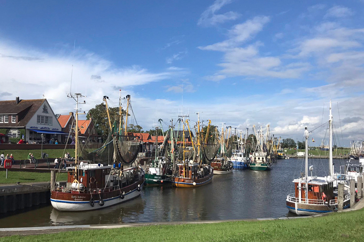 Greetsiel, Schollenweg 5 / Wohung: Kleine Scholle